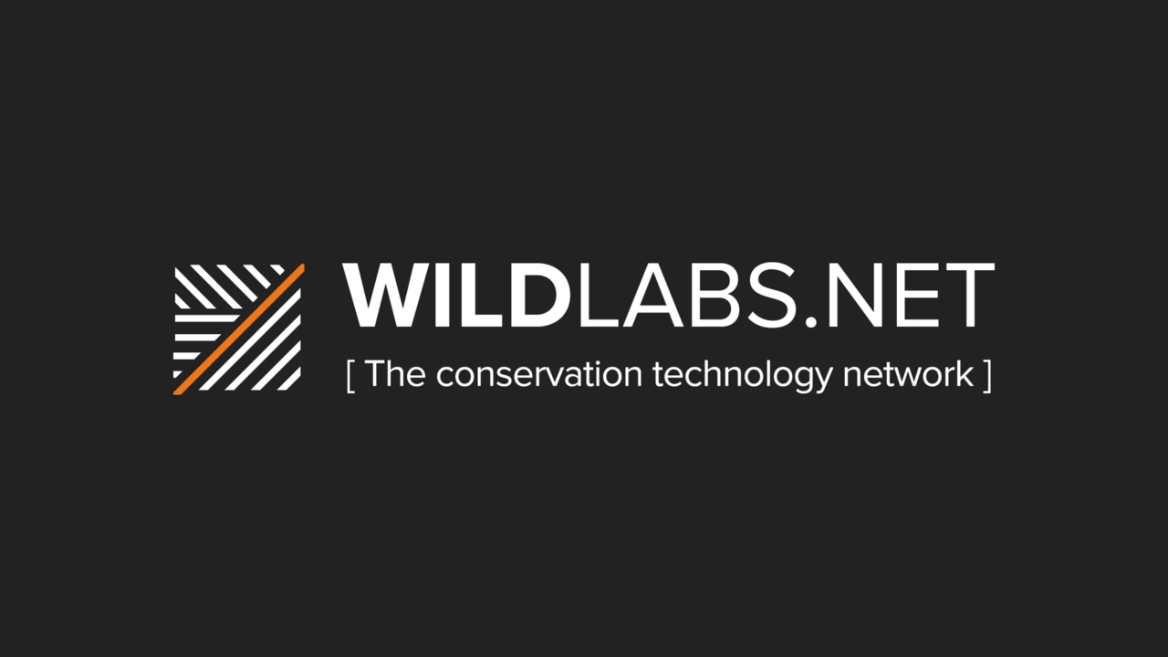 WILDLABS – Conservation Tech & AI Fellowships