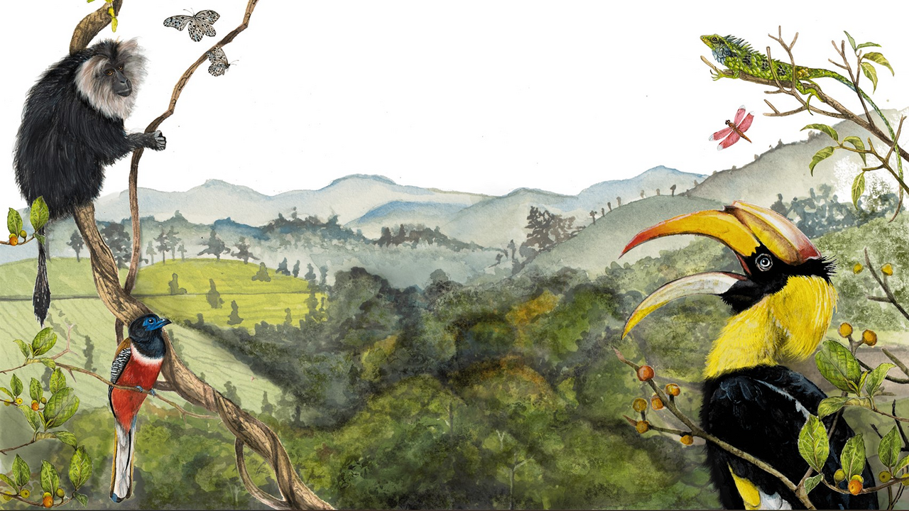 Indian Wildlife Ecology Conference (IWEC) 2024​