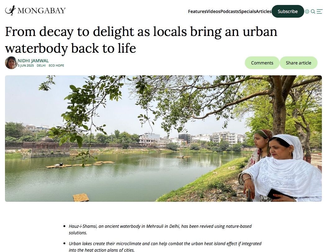 Why Media Fellowships Matter