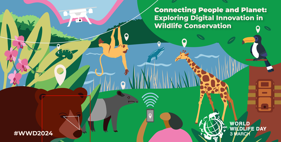 The WWD2024 Theme is Connecting People and Planet: Exploring Digital Innovation in Wildlife Conservation