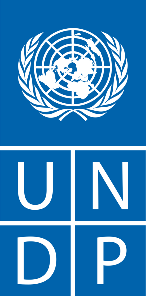 UNDP Careers