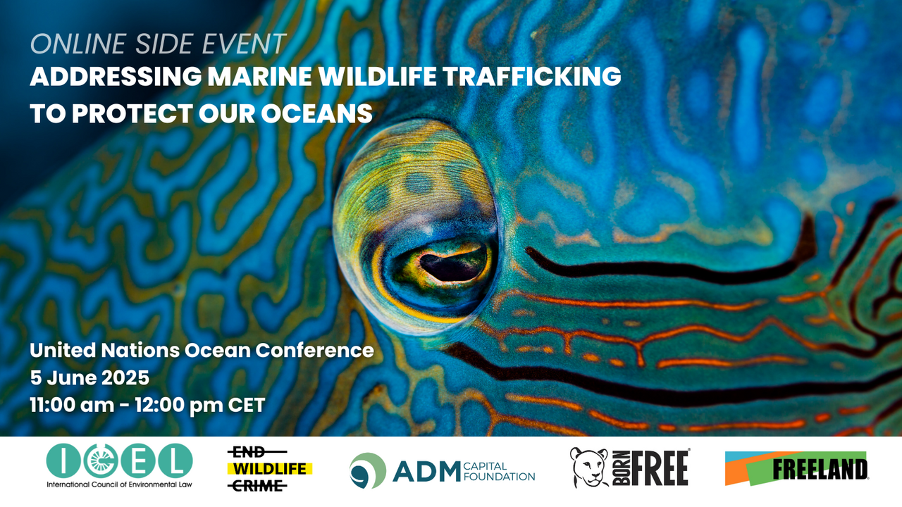 UN Ocean Conference Side Event 