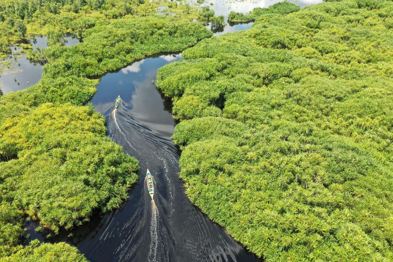 Conservation Technology 101: How you can innovate for the planet