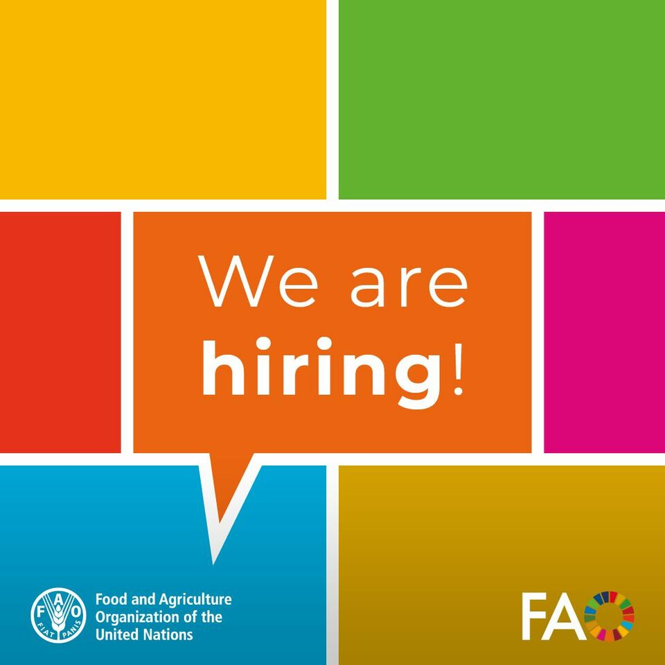 FAO's home-based job opportunities