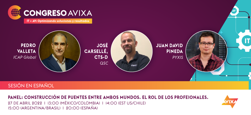 P04 - PANEL: Construcción de puentes entre ambos los mundos: el Rol de los Profesionales