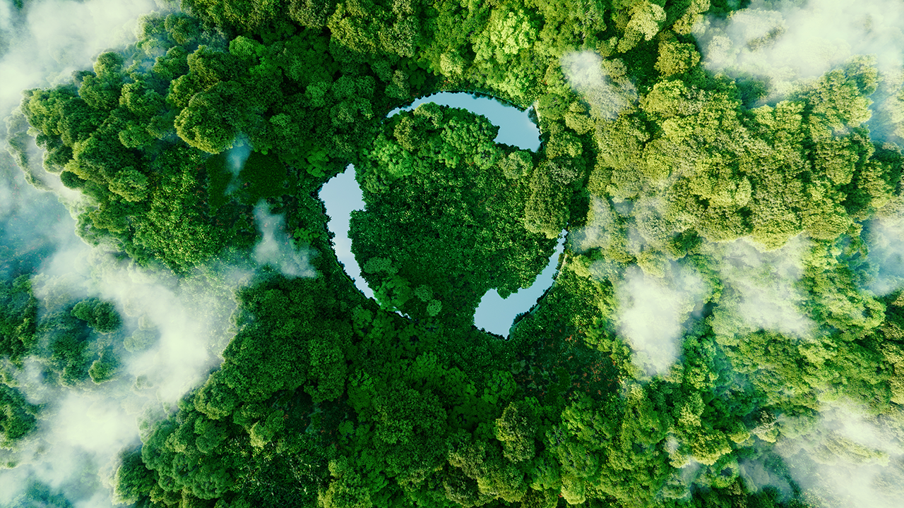 Grüne AV und die "Wahren Kosten"