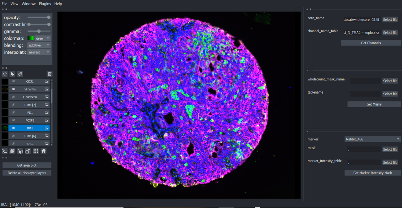 Seeing is believing – how we learned to look at the images