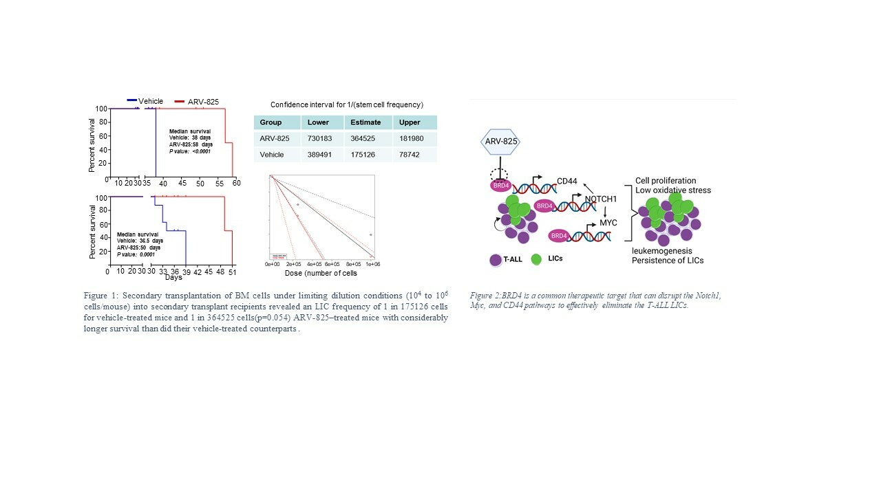BRD4 is a common therapeutic target that can disrupt the Notch1, Myc, and CD44 pathways to effectively eliminate the T-ALL LICs 