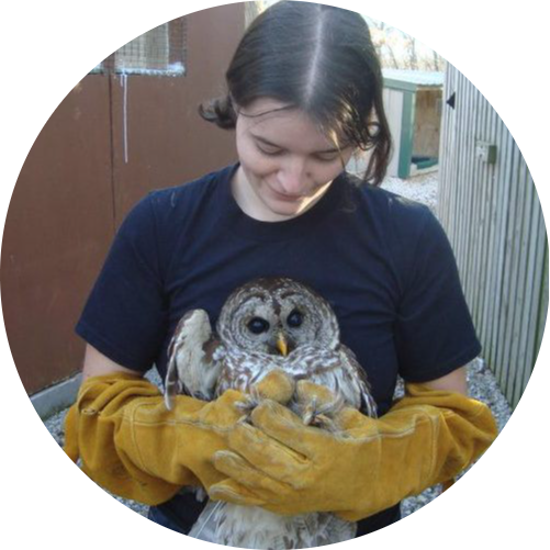 Go to the profile of Robin Kuehn