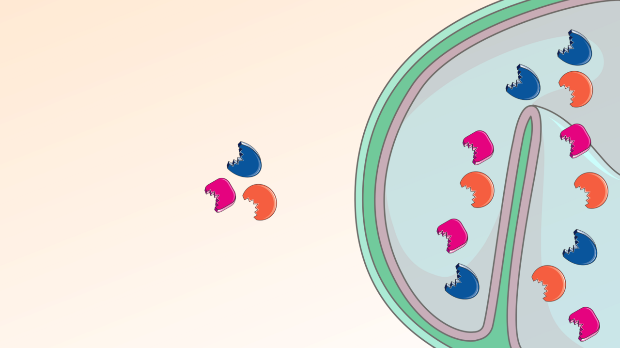 What would a yeast do? – getting to know the lifestyle of a microbe