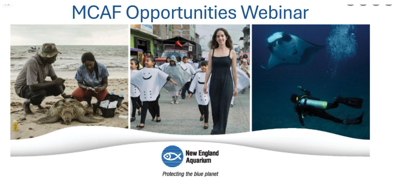 24 Oct: MCAF Opportunities Webinar