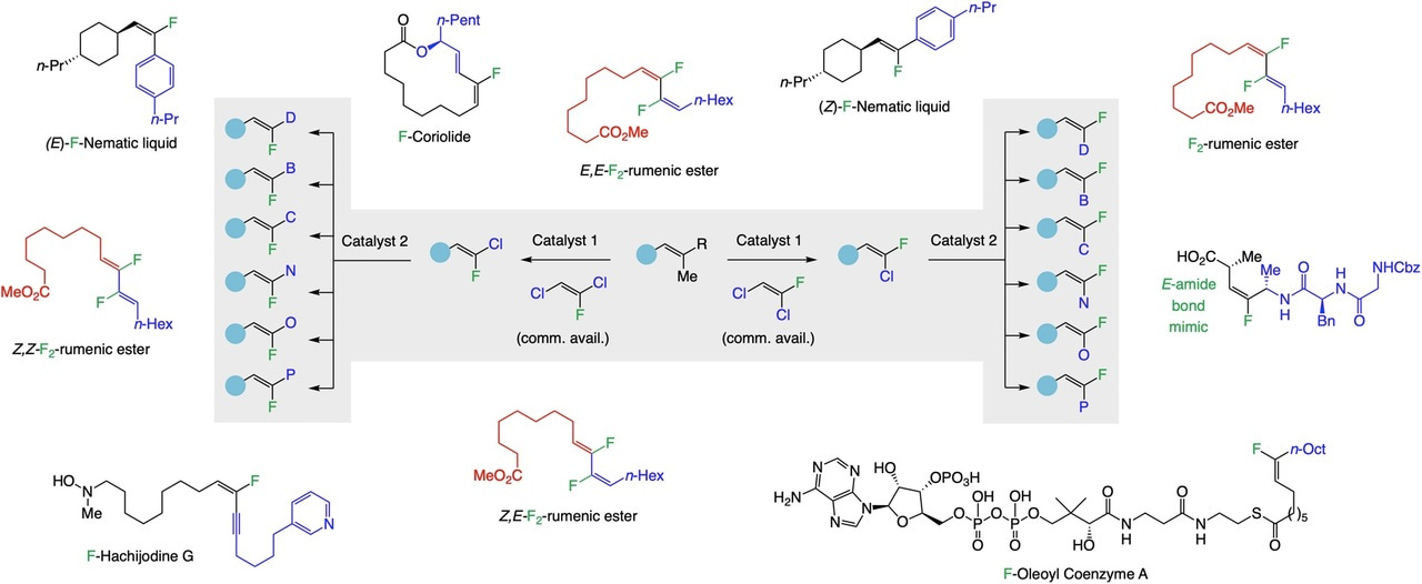 Going for High-Hanging Fruits: Trisubstituted Alkenyl Fluorides Through Olefin Metathesis
