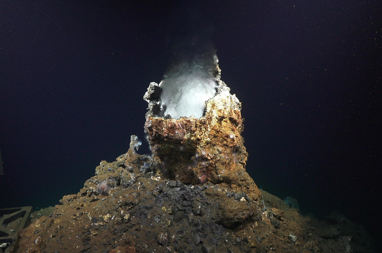 Cultivate rocks, catch Asgard archaea