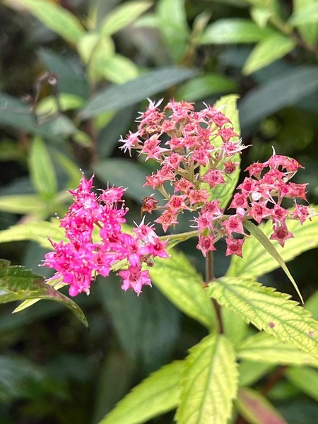 Go to the profile of Sila