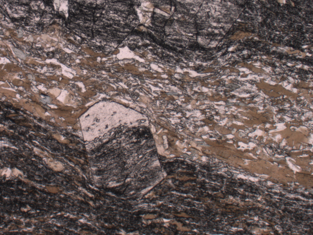 Opening a 3.7 billion year old time capsule.