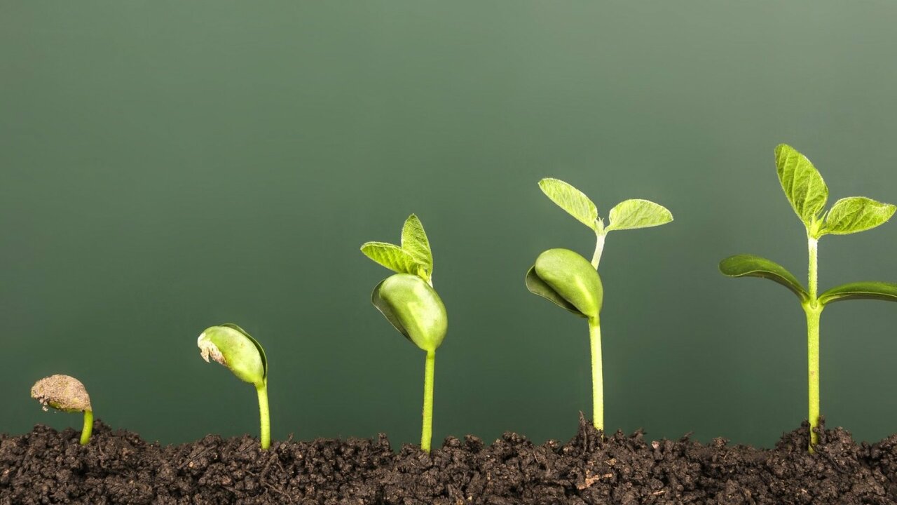 Index Preview: Good Growth