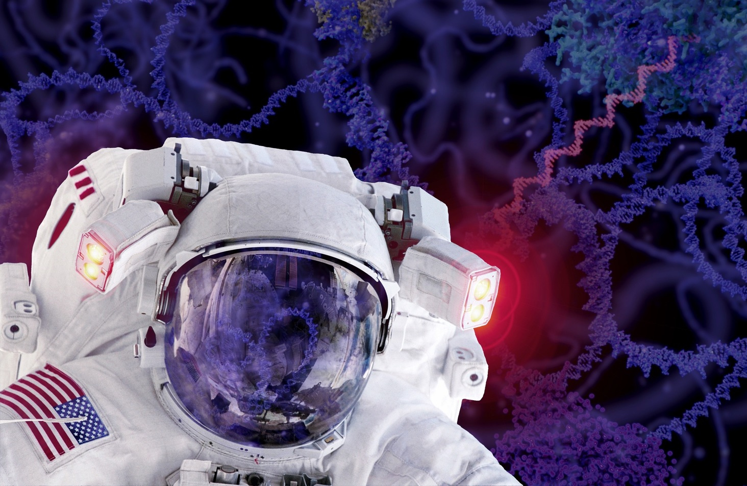 Behind the Paper: Effects of spaceflight detected in blood