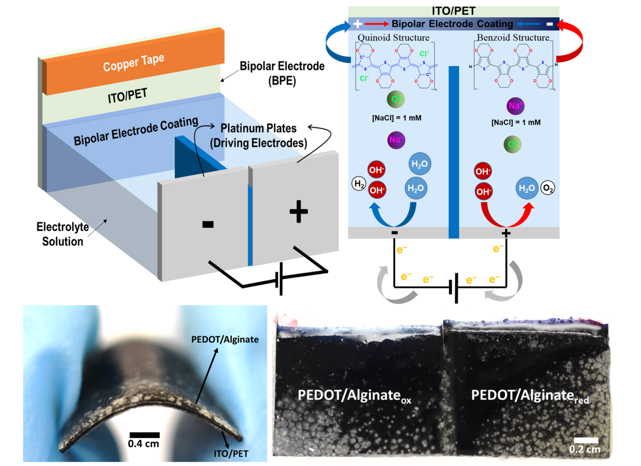 Wireless Control of Redox Gradients in Conductive Hydrogels: A New Frontier in Drug Delivery & Energy Harvesting