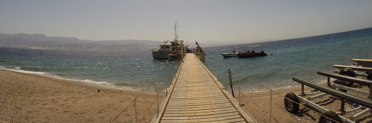 No heliorhodopsins in Gram-negative bacteria