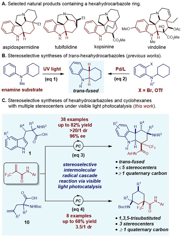 Stereoselective intermolecular radical cascade reactions of tryptophans or ɤ-alkenyl-α-amino acids with acrylamides via photoredox catalysis