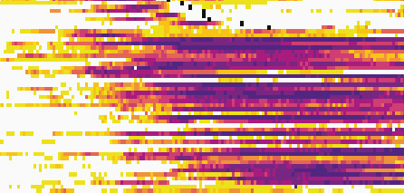 The RAS oncogene hits the brake pedal on P53.
