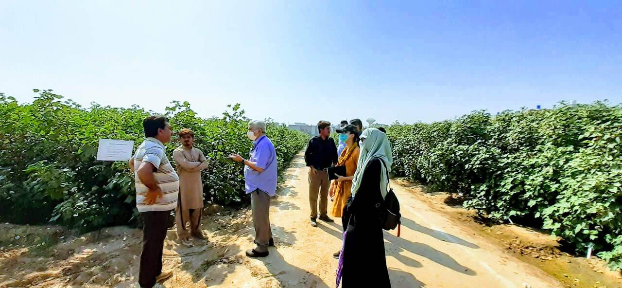 Interspecies Microbiota Transplantation: The Plant Equivalent of an Organ Transplant? 