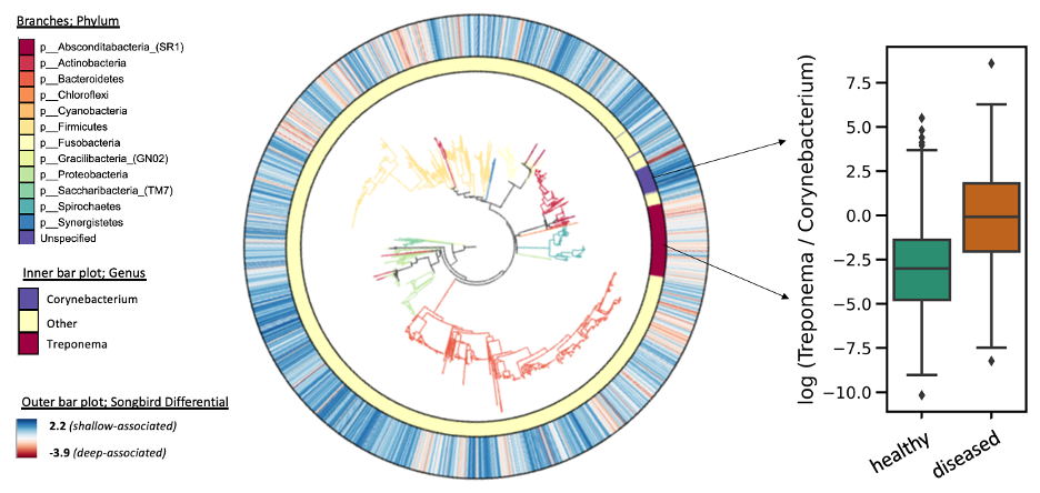 A microbial shift preceding gum disease correlates with cardiometabolic symptoms