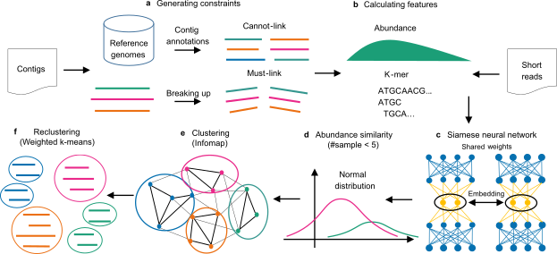 A deep siamese neural network improves metagenome-assembled genomes in microbiome datasets across different environments