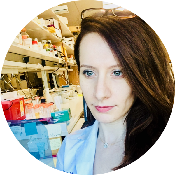 Go to the profile of Hanaa Hariri, PhD