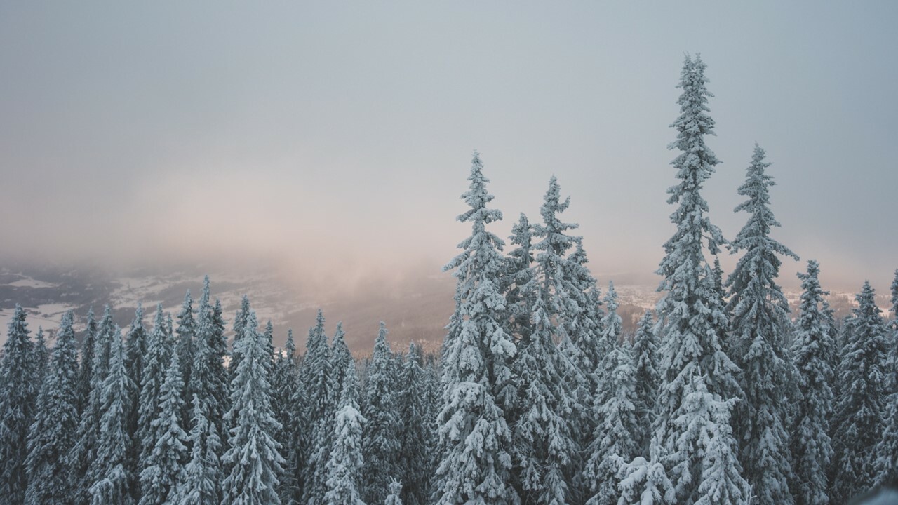 Happy Holidays From The Certification Office!