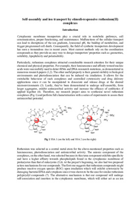 'Self-assembly and ion transport by stimuli-responsive ruthenium(II) complexes' - Laidlaw essay - Anatolii Zagorodnii