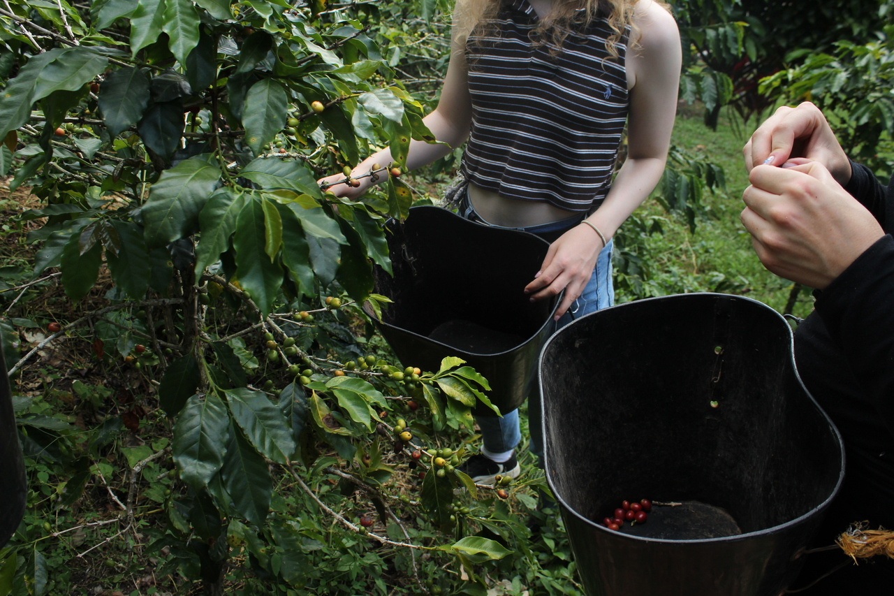 LiA Peace and Social Resilience - week 3