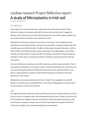 PeterDowling_2022_ReflectiveReport