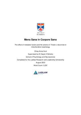 Laidlaw Scholars Network