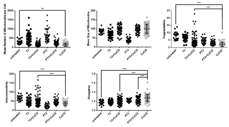 Blog 02: Mens Sana in Corpore Sano