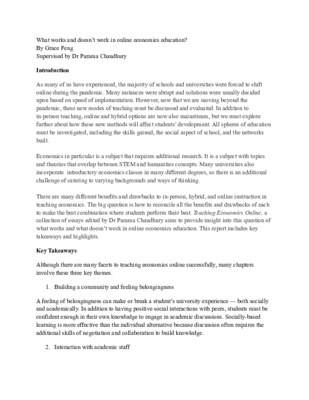 What works and doesn't work in online economics education? Reflection Essay