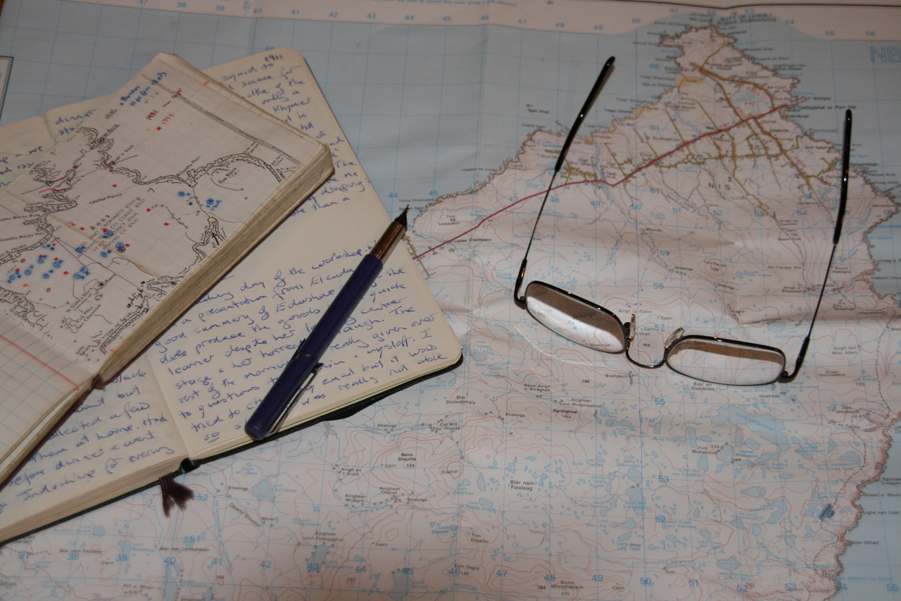 People construct simplified mental representations to plan