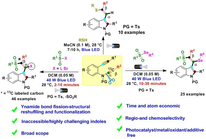 Photoinduced ynamide structural reshuffling and functionalization