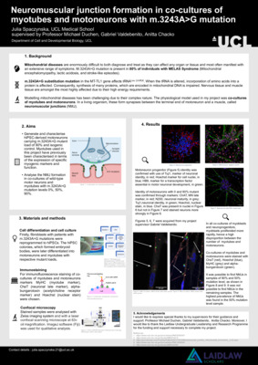 Julia Spaczynska_poster