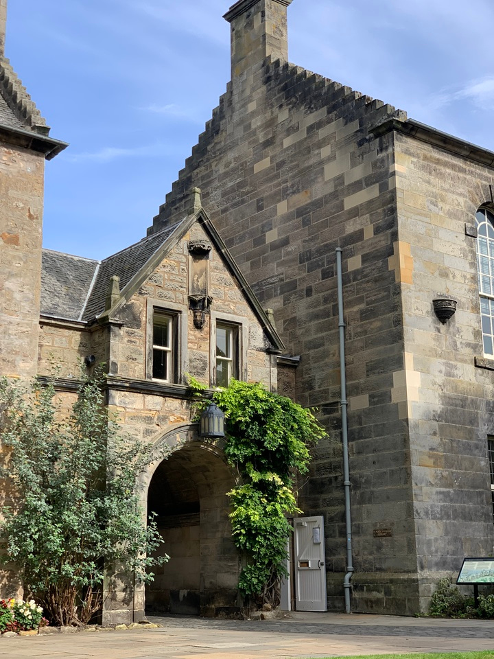 Between Carpe Diem and FOMO - Making the most out of my Laidlaw experience