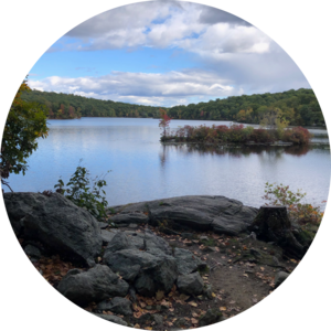 Go to the profile of Erin Farley