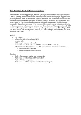 ApoL2/ApoL3 in the inflammasome pathway