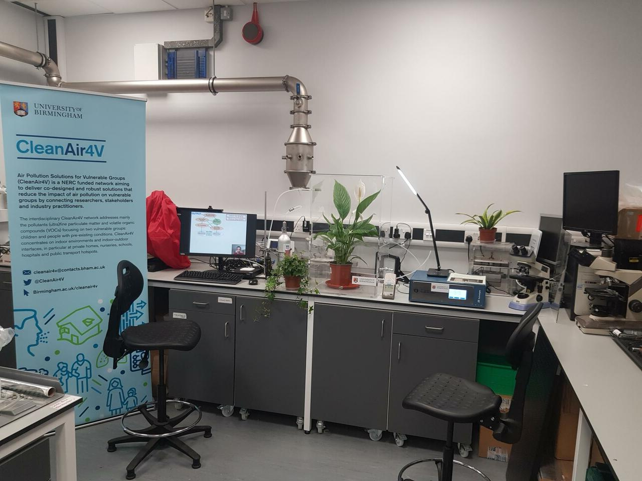 Houseplants can improve air quality indoors, but by how much?