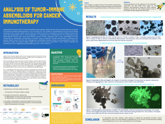 Grow fantastic tumor models in a dish! 