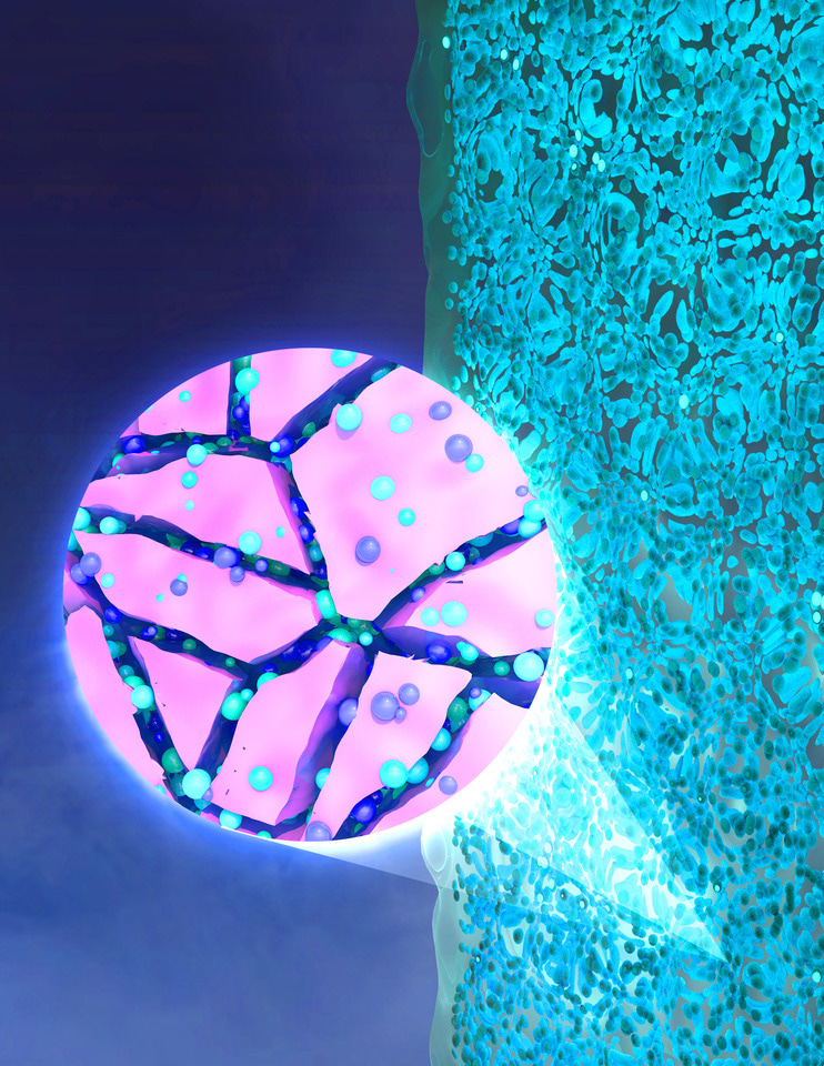 Probing the nanostructure of fission products in oxide fuels using machine learning