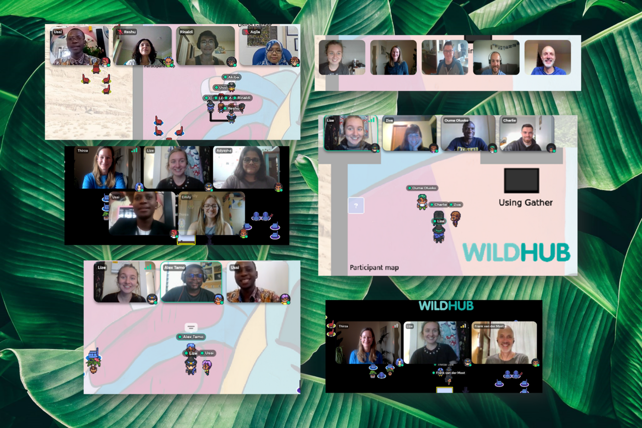 Join our next WildHub Social 11th Jan 12.15pm & 4pm GMT