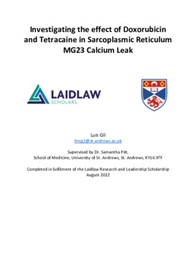 Research Report - 'Investigating the effect of Doxorubicin and Tetracaine in Sarcoplasmic Reticulum MG23 Calcium Leak'