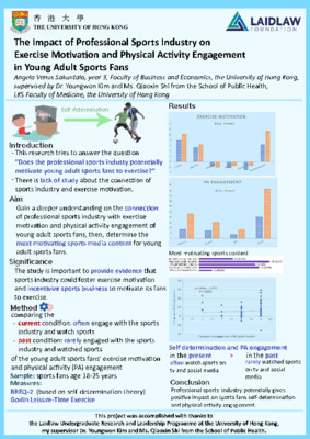 My research poster: The Impact of Professional Sports Industry on Exercise Motivation and Physical Activity Engagement in Young Adult Sports Fans