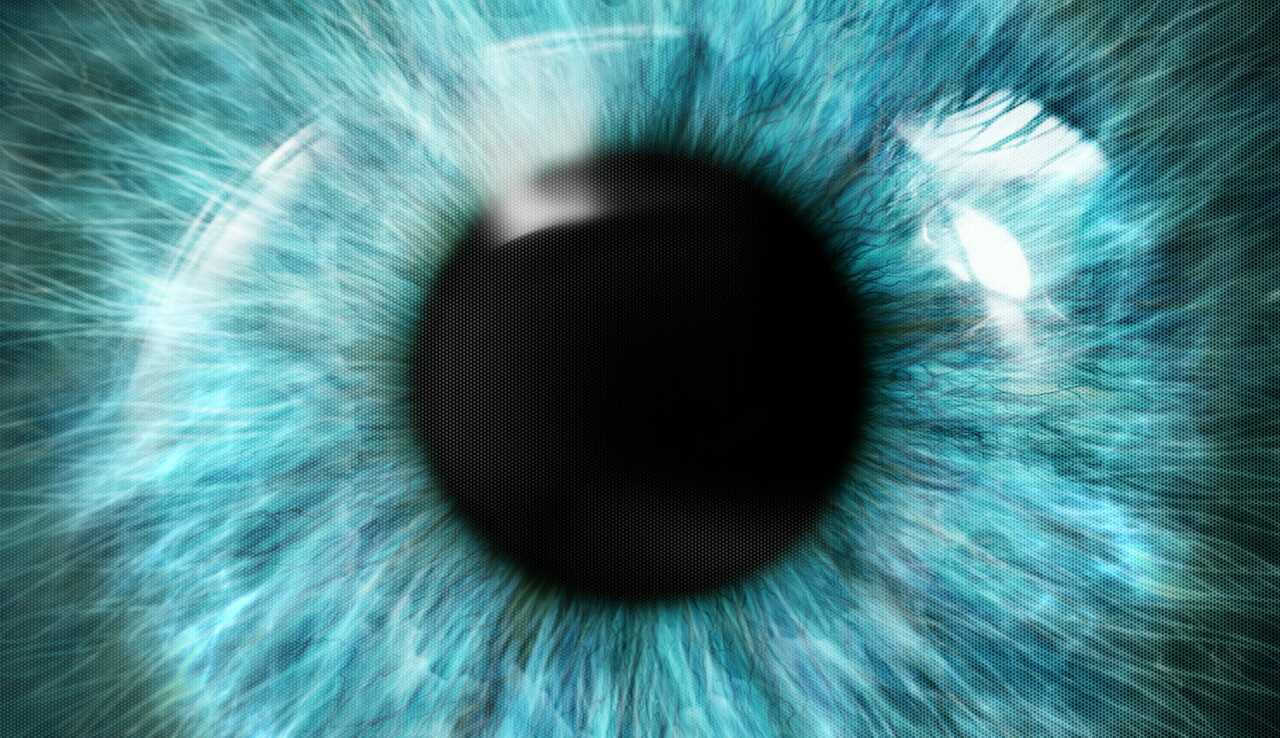 Faster, cheaper, better: FLASH-seq for full-length single-cell RNA-sequencing