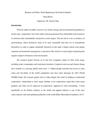 Reflection Essay - Business and Water: Water Reporting in the Fashion Industry